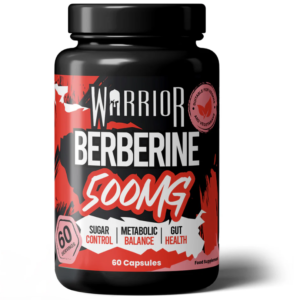WARRIOR Berberina